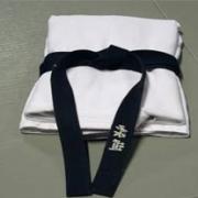 Plier judogi miniature web