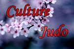 Culture judo miniature
